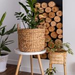 Shop Buttons in Product Content Page Homeflix