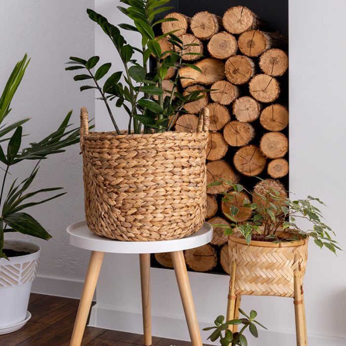 Shop Buttons in Product Content Page Homeflix