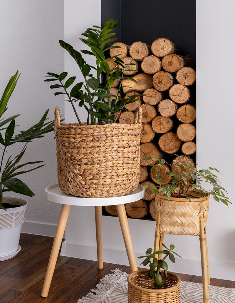 Shop Buttons in Product Content Page Homeflix